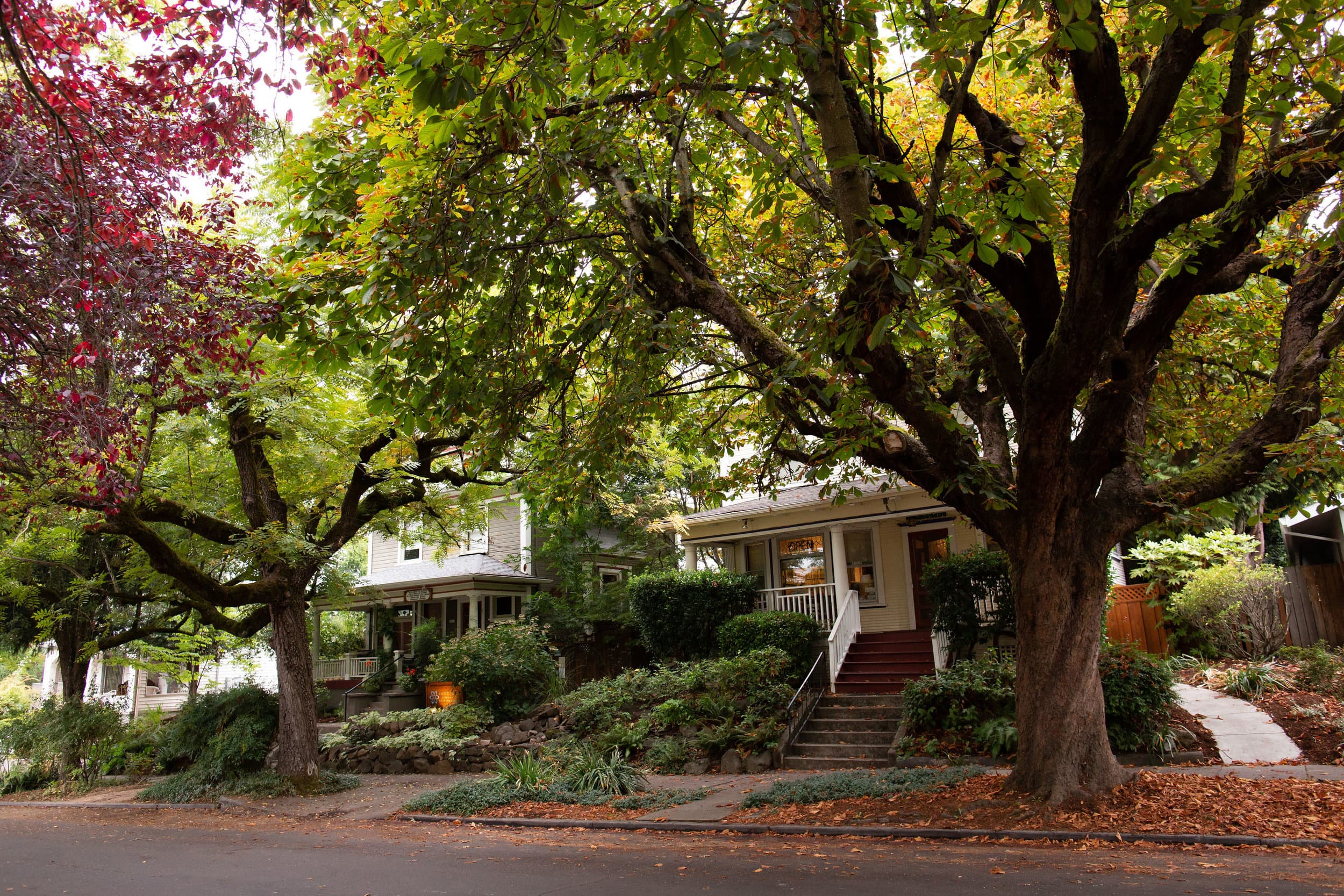 Everett House Community Healing Center